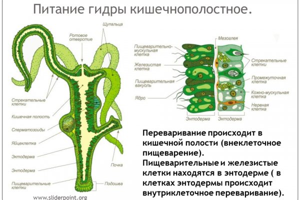 Kraken darknet market ссылка